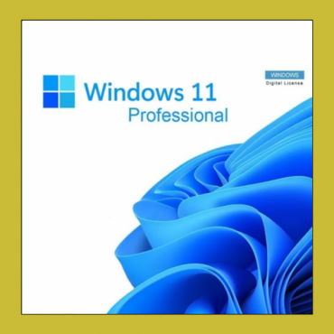 Microsoft Windows 11 Professional Retail Key