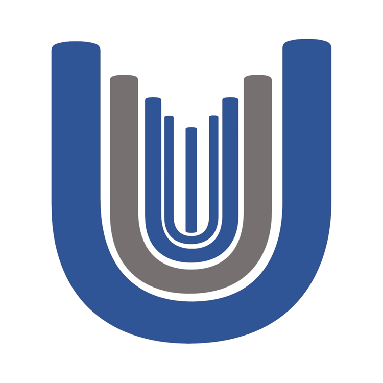 unique-surfaces-llc-dokwifi-it-service